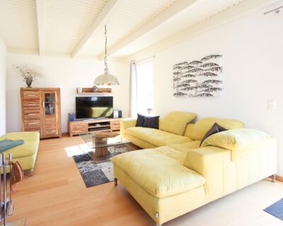 Einladender Wohnbereich des Ferienhauses Ginger mit gemütlichem Sofa und modernem Fernseher im Zentrum des Raumes.