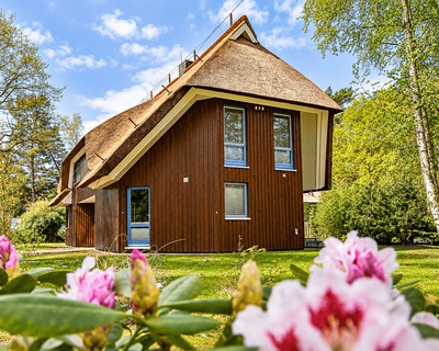 Haus Vier