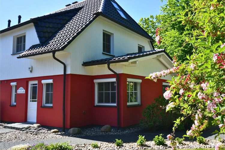 Seeschwälbchen