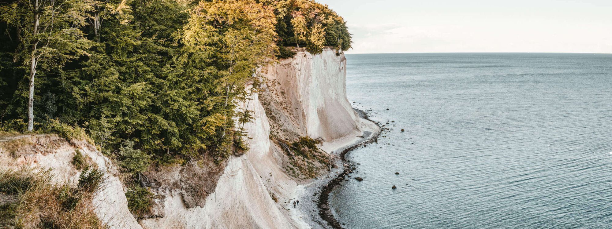 Kreidefelsen auf Rügen an der Ostseeküste